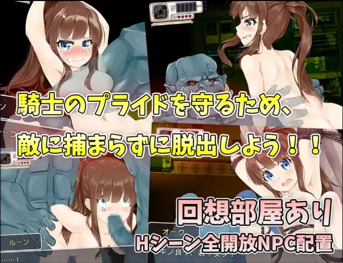 圣骑士女孩逃离兽人宅邸 (5)